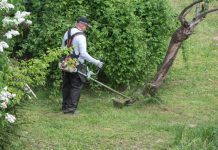 Tarnowskie trawniki: zawiesić kosy na kołku? kosy