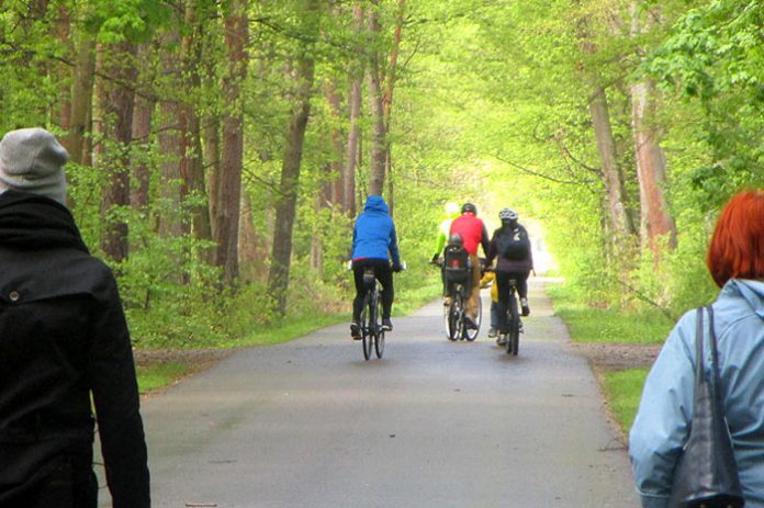 las-rowerzyści Las rowerzyści