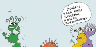 koronawirus kronika strachu