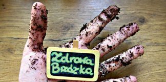 ZdrowaBrzózka Pasożyty