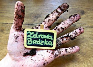 Pasożyty – chrońmy się przed nimi z głową ZdrowaBrzózka Pasożyty