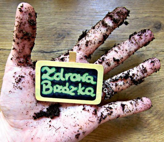 Pasożyty – chrońmy się przed nimi z głową ZdrowaBrzózka Pasożyty