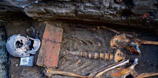 kilkadziesiąt ludzkich szkieletów w centrum Tarnowa