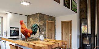 Hodowcadrobiu naganazazłewarunkihodowli