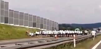 kibole ustawkakiboli