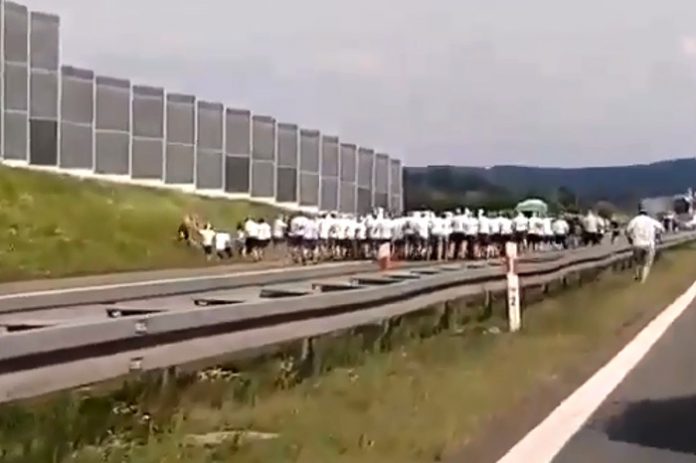 kibole ustawkakiboli