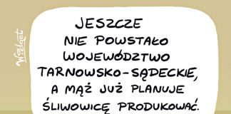 Koniec snów o województwie tarnowskim