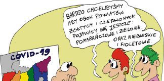 Koronawirus kronikastrachu