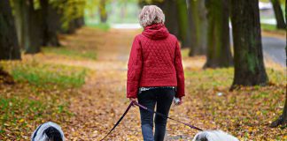 wśród przyjaciół zwierząt