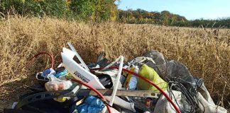 Śmieci Park Sanguszków