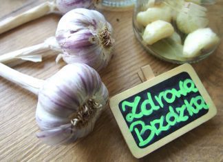 Zdrowa Brzózka czosnek