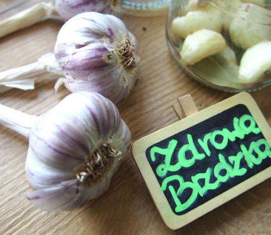 Zdrowa Brzózka czosnek