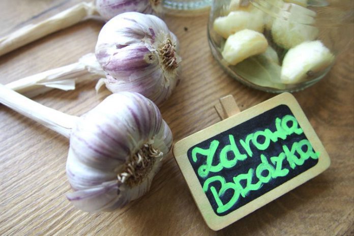 Zdrowa Brzózka czosnek