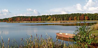 Z wierzchosławickich stawów odłowiono w listopadzie około czterdziestu ton karpia