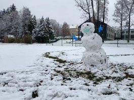 Śnieg Park Sanguszków