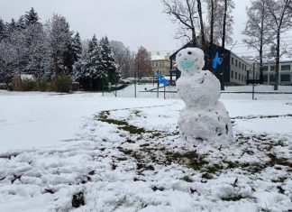 Śnieg Park Sanguszków