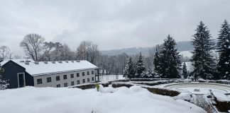 Śnieg Park Sanguszków