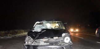 Źródło: Tarnowska Policja