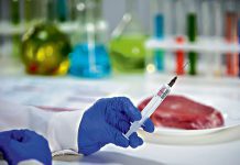 Pomór świń nadchodzi z Podkarpacia