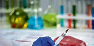 Pomór świń nadchodzi z Podkarpacia