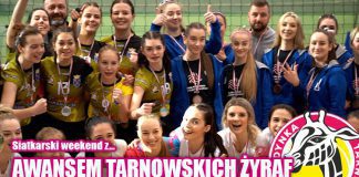 Awans tarnowskich żyraf