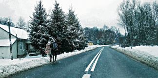 Czy drogowcy radzą sobie ze śniegiem?