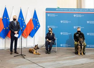 Policyjnypies emerutyradlapsa