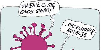 Koronawirus Kronikastrachu