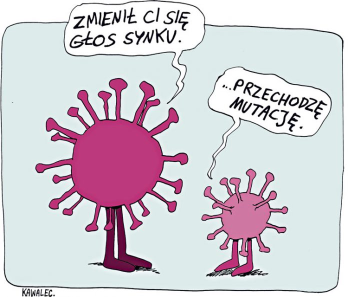 Koronawirus Kronikastrachu