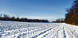 Tarnów WinnicanaGumniskach