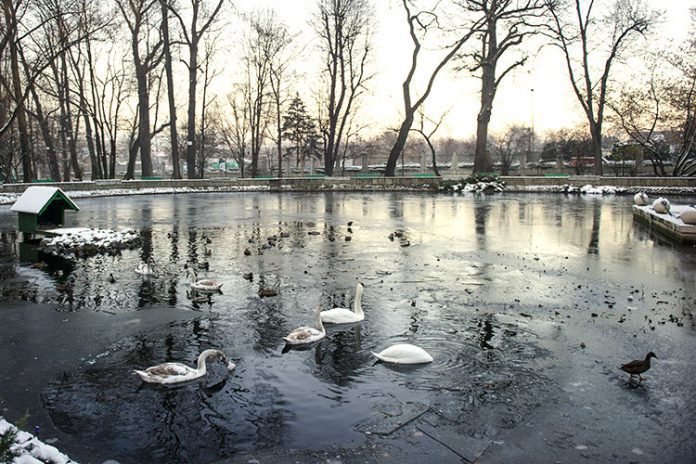 Park Strzelecki w Tarnowie