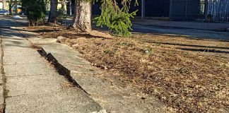 Trwa doraźny remont ul. Piotrowskiego