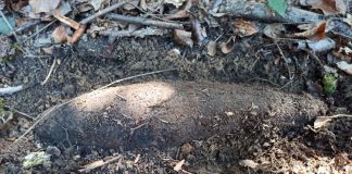 Źródło: Tarnowska Policja