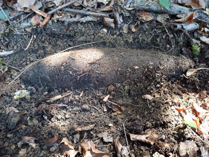 Źródło: Tarnowska Policja