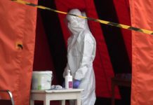 Ptasia grypa w rejonie Zabawy. Mewy śmieszki przywlokły groźną dla ptactwa chorobę superkombinezon przyszłości