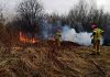 W Tarnowie i regionie płoną nieużytki rolne