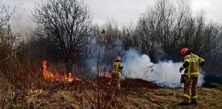 W Tarnowie i regionie płoną nieużytki rolne