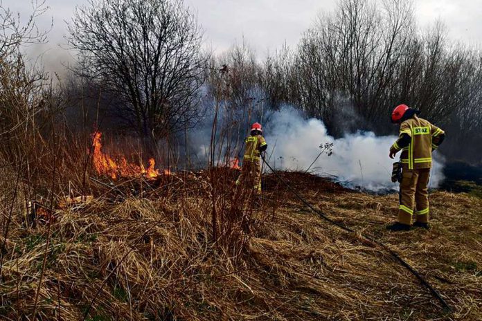 W Tarnowie i regionie płoną nieużytki rolne