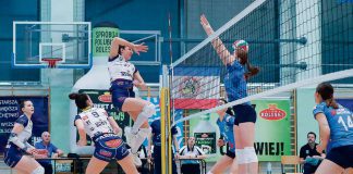 Żyrafy mają nowego trenera