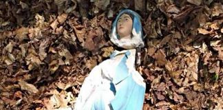 Akt wandalizmu w Parku Uzbornia