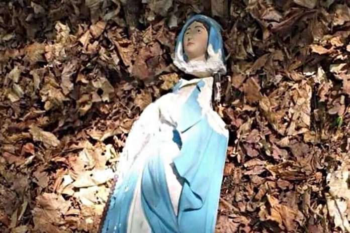 Akt wandalizmu w Parku Uzbornia