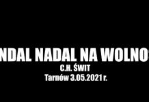 Wandal nadal na wolności