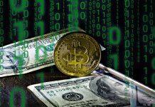 oszustwo na bitcoina