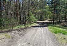 Na quadach i motocyklach rozjeżdżają podtarnowskie lasy Rozjeżdżają podtarnowskie lasy