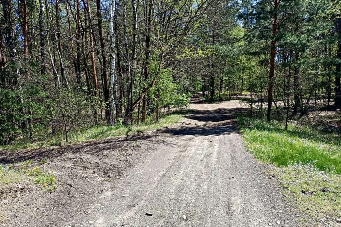 Rozjeżdżają podtarnowskie lasy