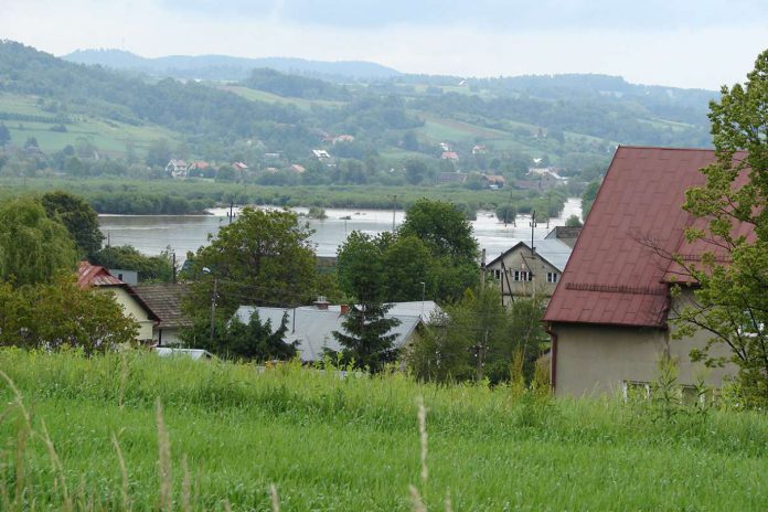 Rzepiennik Strzyżewski