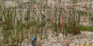 Dom z rurą gazową. Winnych brak