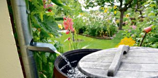 Tarnowianie zainteresowani dofinansowaniem na deszczówkę