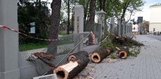 Wiatr Park Strzelecki