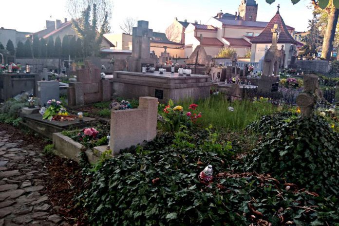 Brzesko - Kto posprząta cmentarz parafialny